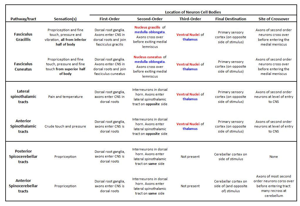 Ascending (Sensory) Nerve Pathways almostadoctor